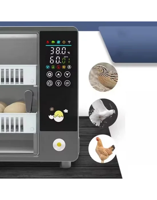 24 Yumurtalık Tam Otomatik Kuluçka Makinesi – Hobi Tip Kabin Modeli