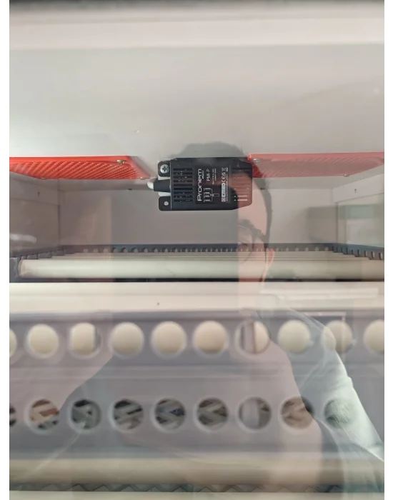 Emko 3722 Yerli Kuluçka Makinesi | SSR Röle Termostatlı Kabin Tip, Kaz Uyumlu