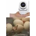 Kuluçka Makinesi İzleme Kamerası | Civciv, Sıcaklık ve Nem Takip