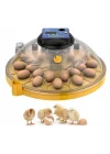 Evonest Evo-Ufo-48 Yumurta Kapasiteli UFO Model Ev Hobi Küçük Çiftlik Tam Otomatik Kuluçka Makinesi
