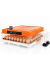 Evonest 120 Yumurtalık Kuluçka Makinesi | Turuncu Renk
