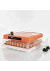 Evonest 120 Yumurtalık Kuluçka Makinesi | Turuncu Renk