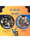 Evonest 120 Yumurtalık Kuluçka Makinesi | Turuncu Renk