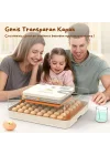 Evonest 56 Yumurtalık Kuluçka Makinesi | Turuncu Model