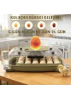 24 Yumurta Kapasiteli Kuluçka Makinesi, Otomatik Çevirme, Isı & Nem Kontrolü, 360° Görüş, Tavuk-Ördek-Bıldırcın-Kaz için