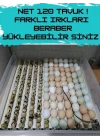 Gfallx Kalibre Cihazlı Beyaz Kaz Uyumlu 120 Yumurtalık Otomatik Kuluçka Makinesi