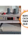 Kaz Uyumlu Kabin Tip Kuluçka Makinesi | 196 Yumurtalık Kapasiteli