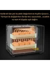 24 Yumurtalık Tam Otomatik Kuluçka Makinesi – Hobi Tip Kabin Modeli