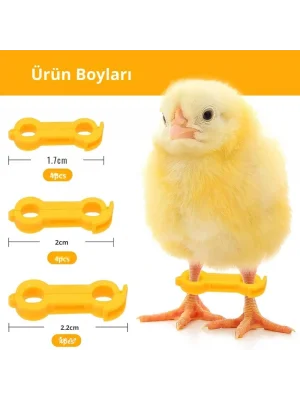 12 Adet Civciv Ayak Düzenleyici Aparat | Yeni Doğan Civcivlerde Ayrık Ayak Düzeltici, Kümes Hayvanı Yürüme Denge Aparatı