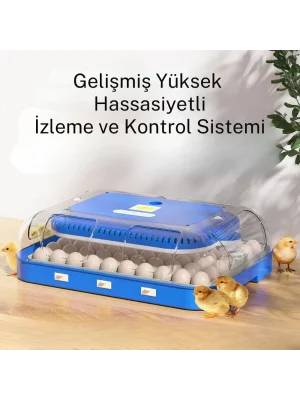 70 Yumurta Kapasiteli Tam Otomatik Kuluçka Makinesi – Nem Kontrollü, Kaz Uyumlu, Dijital Sistem