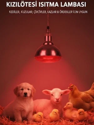 Evonest Infrared Kümes Isıtıcı Lamba 250W | Sadece Lamba