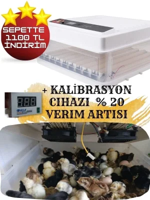Gfallx Kalibre Cihazlı Beyaz Kaz Uyumlu 120 Yumurtalık Otomatik Kuluçka Makinesi