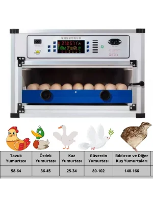 Kaz Uyumlu Kabin Tip Kuluçka Makinesi | 64 Yumurtalık Kapasiteli