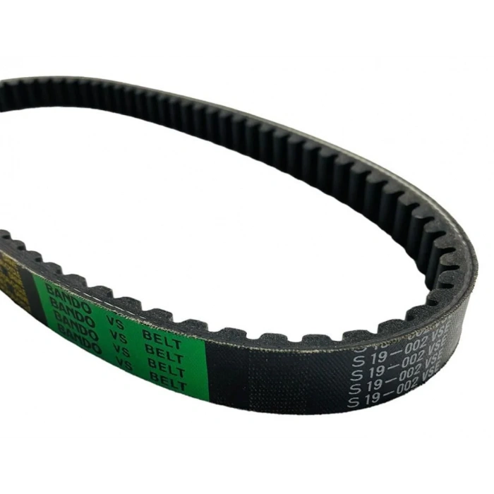 Küba Zenzero Kayış (Bando)