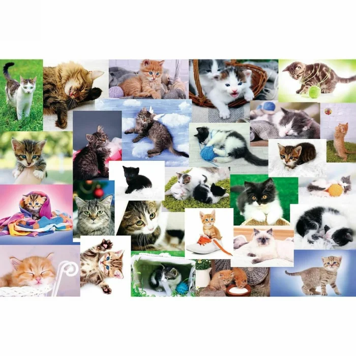 17332 Kedi Dünyası 60 Parça Puzzle -trefl Puzzle