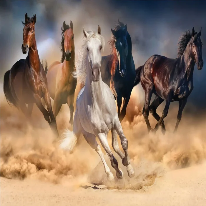 20769 Puzzle 1000 Wild Horses