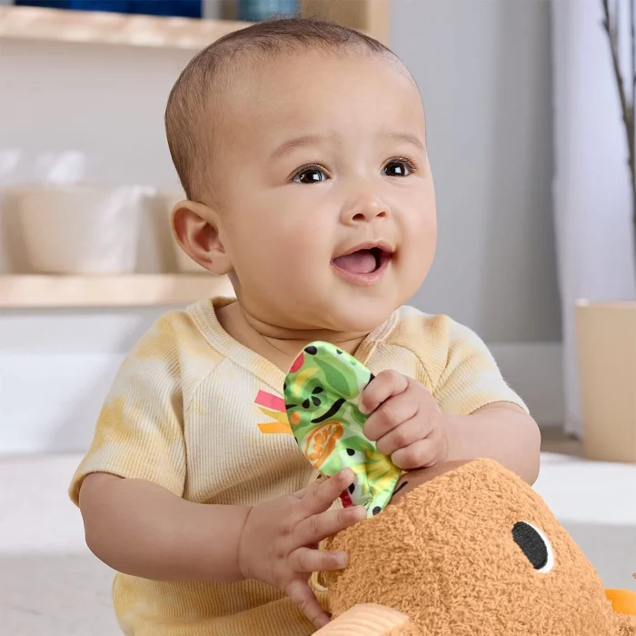 Hyr54 Ffisher-price Yumuşak Kapibara