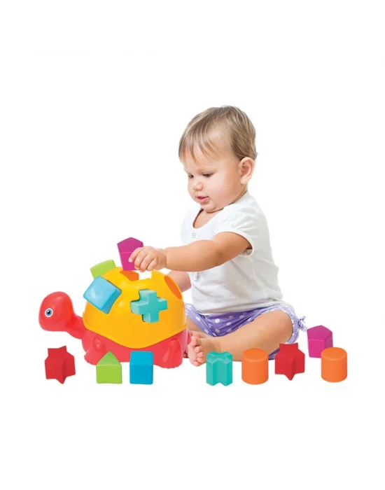 03450 Kaplumbağa Bultak