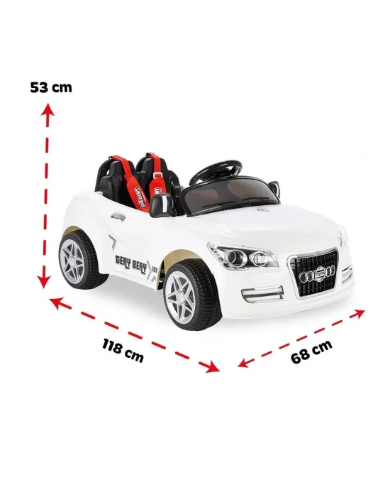 05 280 Pilsan Tery Bery 12v Uzaktan Kumandalı Akülü Araba