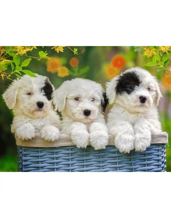 127658 Cuddly Puppies 200 Parça Xxl Ravensburger Puzzle