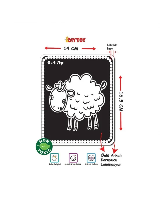 1369 F.cards Bebeğimin İlk Zeka Kartları