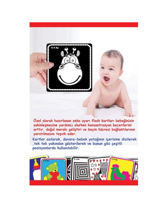 1369 F.cards Bebeğimin İlk Zeka Kartları