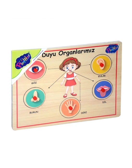 166/167 Onyıl, Ahşap Tutmalı Organlar