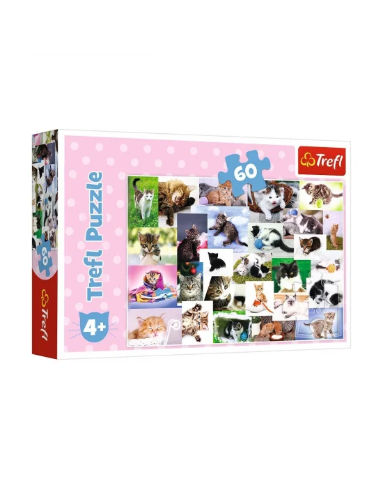 17332 Kedi Dünyası 60 Parça Puzzle -trefl Puzzle