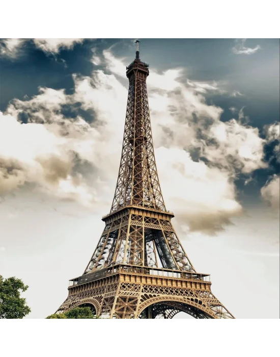 20768 Puzzle 1000 Elffel Tower Paris