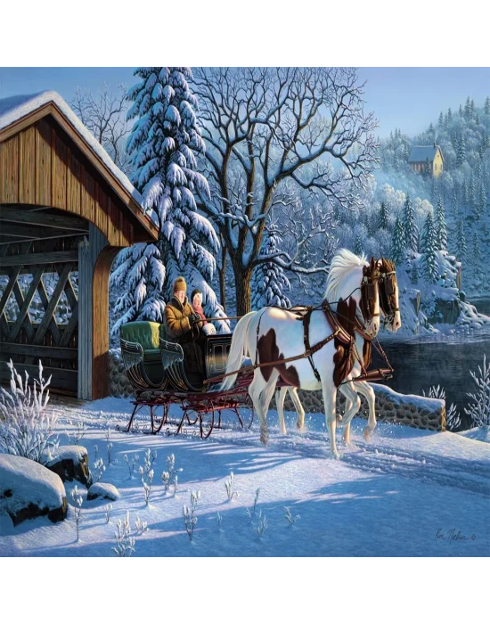 20800 Puzzle 1000 Treadured Memories