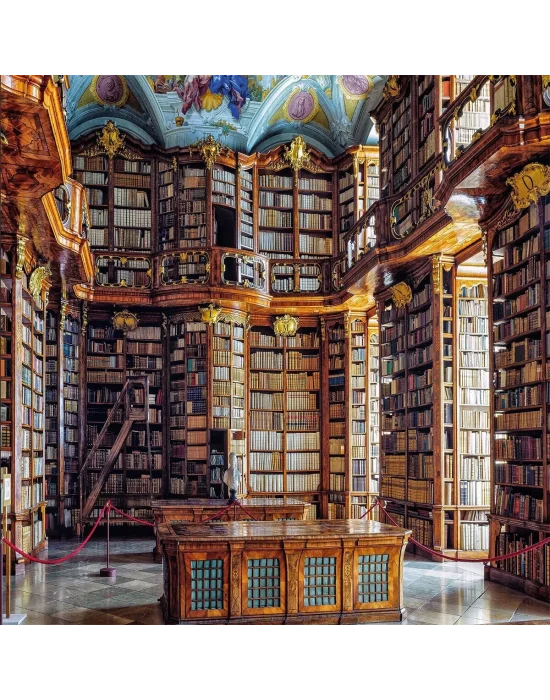 20801 Puzzle 1000 Library Of St.florian Monastery