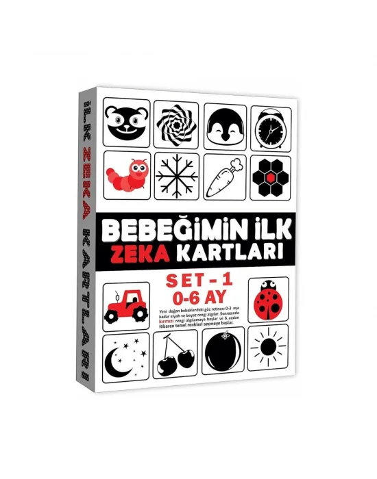 2199 Eğitici Kartlar 0-6 Ay Zeka Kartları