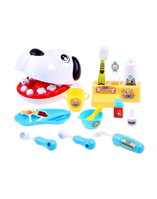 3162 Veteriner Diş Hekimi Seti 17 Parça -sunman