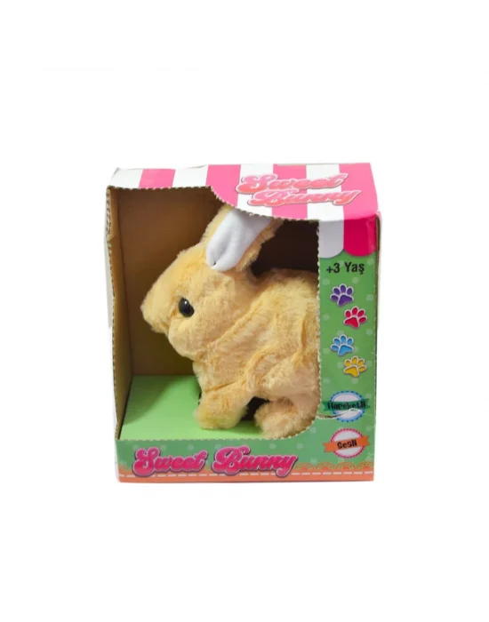 40098 Tavşan Peluş Pilli-aya Toys