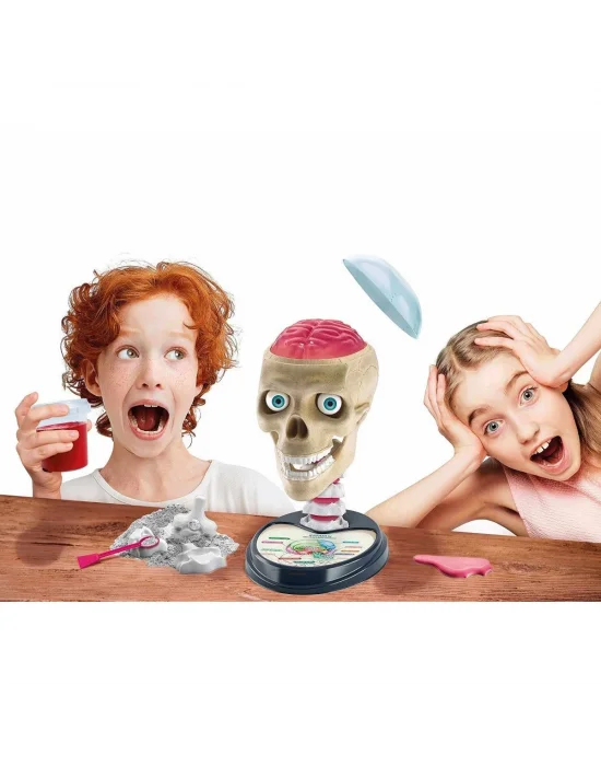 64322 Bilim Ve Oyun - Çılgın Anatomi +7 Yaş