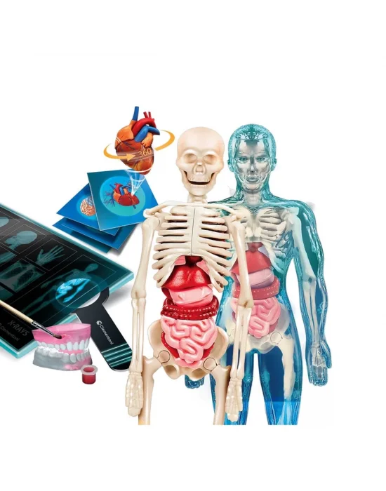 64474 Bilim Ve Oyun - Süper Anatomi +8 Yaş