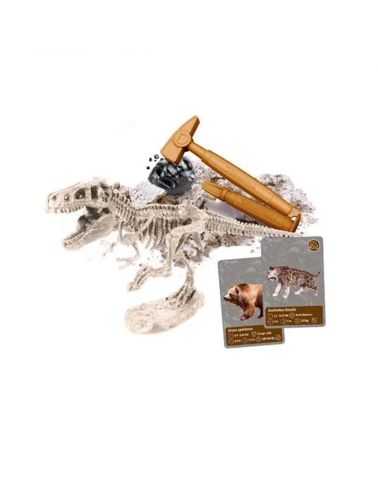 64839 Bilim Ve Oyun - Dünyadaki Yaşamın Tarihi