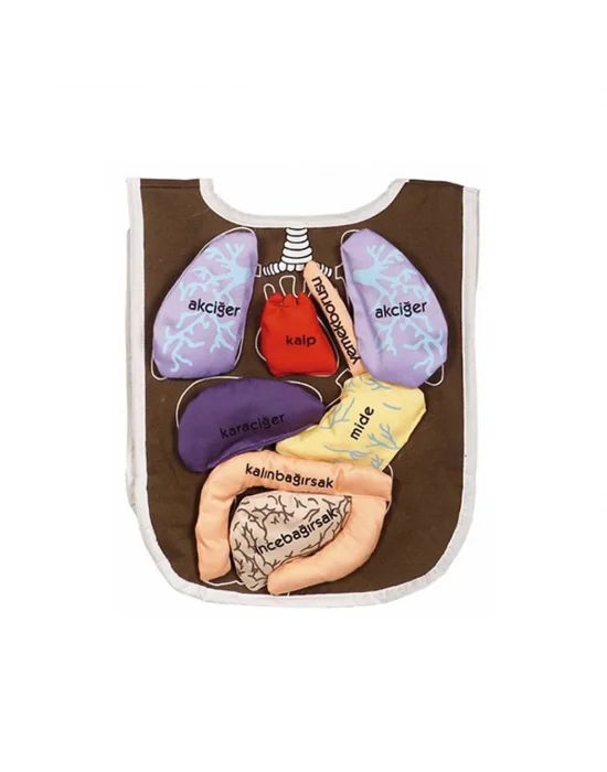 And-5011 Organ Önlüğü