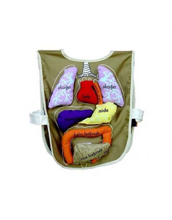 And-5011 Organ Önlüğü