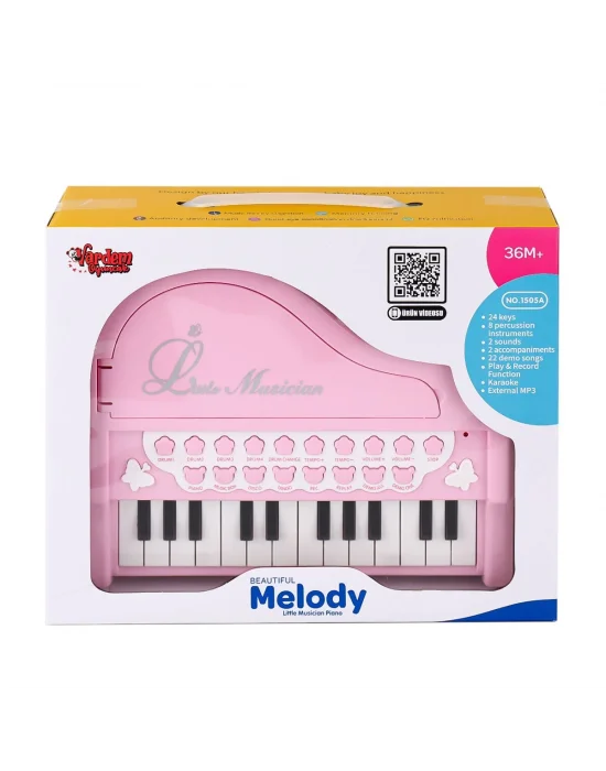 Bao-1505a Mikrofonlu Mini Piano 24 Tuş Mp3 Çalar