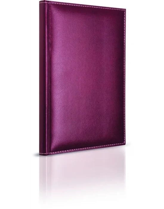 GIPTA MODELİST DEFTER 14x20 160YP ÇİZGİLİ DERİ KPK