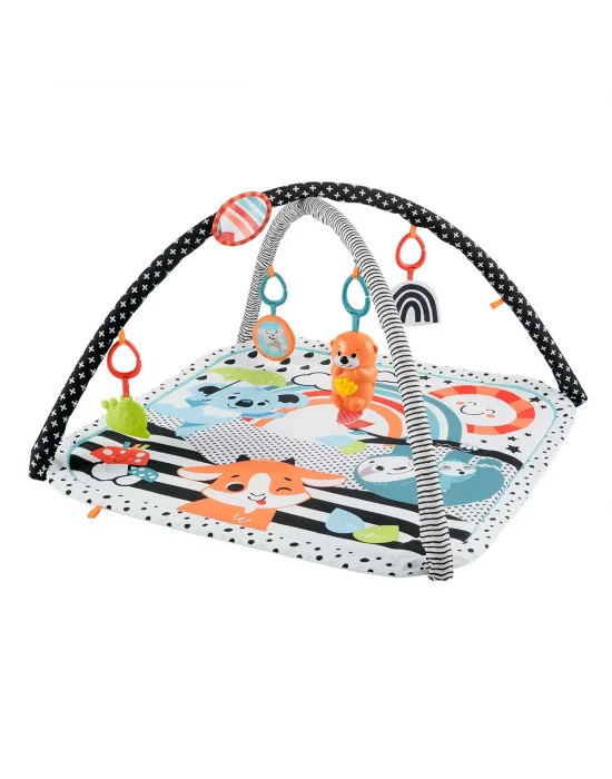 Hbp41 Fisher-price® Neşeli Hayvanlar 3ü1 Arada Jimnastik Merkezi
