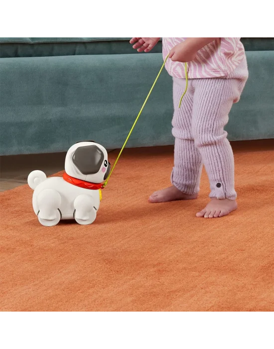 Htw94 Fisher-price  Minik Dostumla Yürüyüş