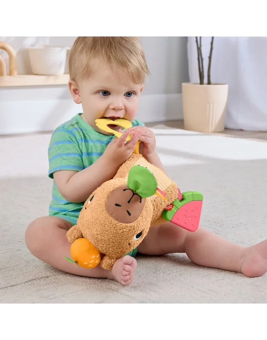 Hyr54 Ffisher-price Yumuşak Kapibara