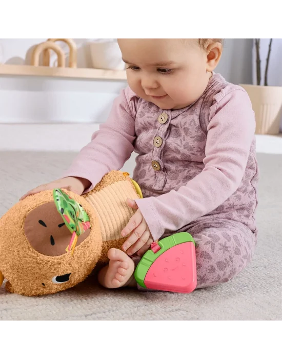 Hyr54 Ffisher-price Yumuşak Kapibara