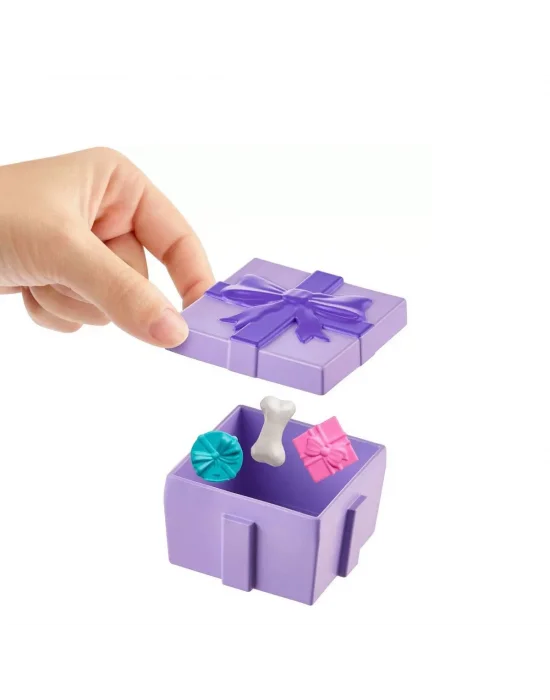 Jcc33 Polly Pocket Pollynin Doğum Günü Partisi Paketi