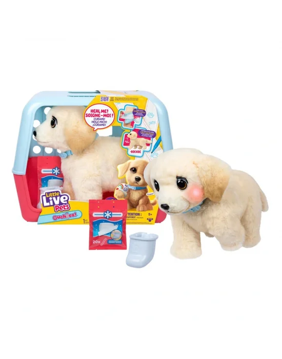 L0100000 Llp Yavru Köpek İyileşiyor - 26679