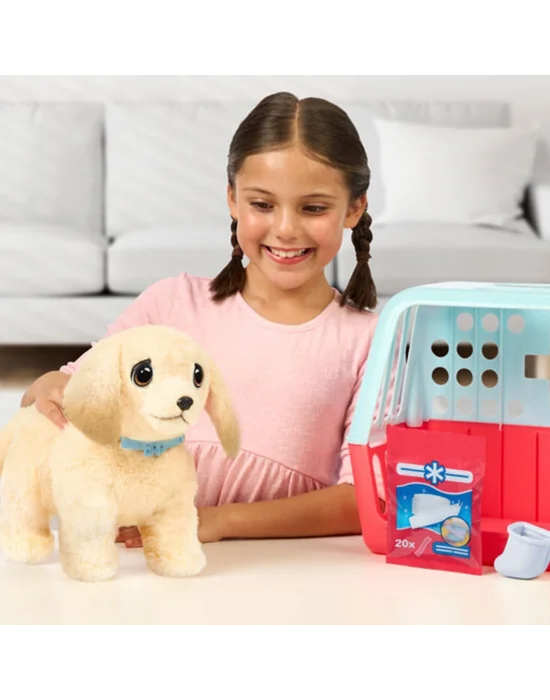 L0100000 Llp Yavru Köpek İyileşiyor - 26679