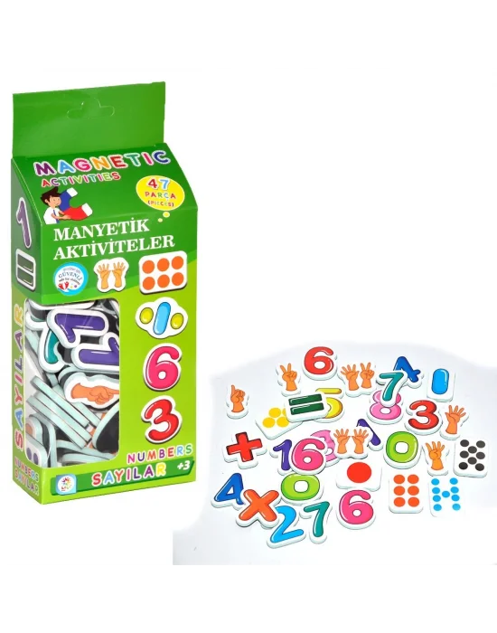 Lc7155 Laço, Manyetik Aktiviteler - Sayılar / +3 Yaş