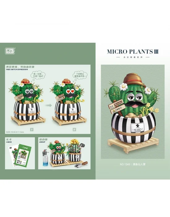 Lz1245 Loz Kaktüs Blok Seti -vagon Life